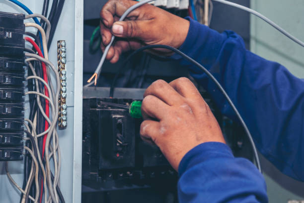 Best Electric Panel Repair  in Yerington, NV